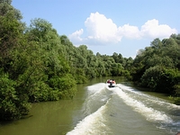 Delta del Danubio
